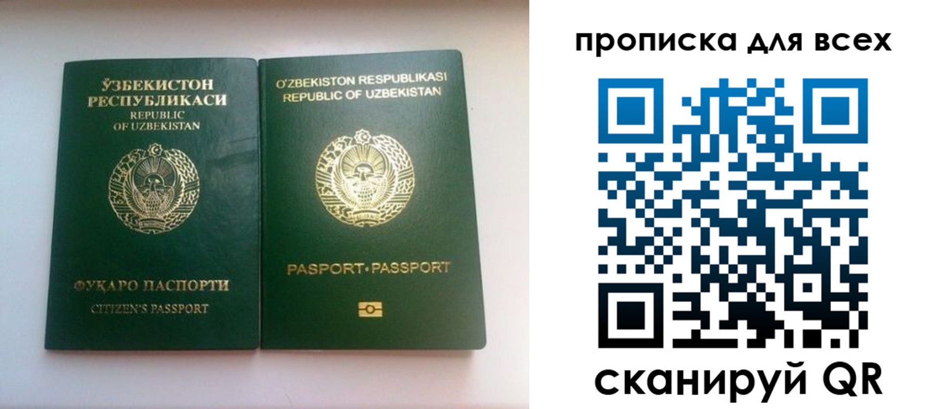 прописка для школы в Камызяке